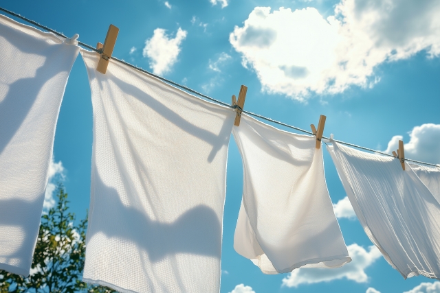 カメムシの洗濯物対策